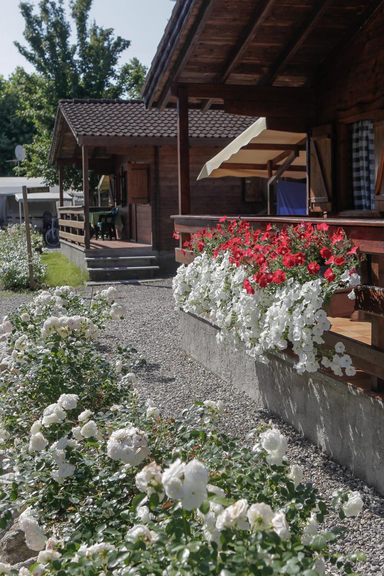 Campeggio Smeraldo Дормеллетто Номер фото